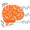 «Безопасный» шум вредит мозгу