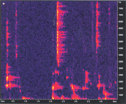 Рис. 7. Спектрограмма сигнала после подавления шума (по оси Х &ndash; время 5 секунд, по оси Y &ndash; частота от 0 до 8 кГц).
