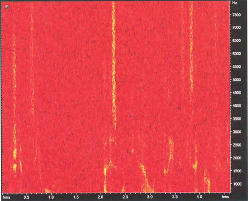 Рис. 6. Спектрограмма сигнала перед подавлением шума (по оси X &ndash; время 5 секунд, по оси Y &ndash; частота от 0 до 8 кГц).